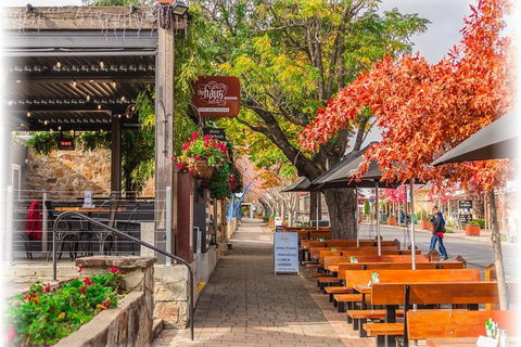 Barossa Valley Via Hahndorf ( Historical German Village ) Inc Maggie Beers Farm - Perths Hotel 6