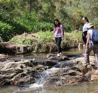 Small Group Bush Walk  BBQ with Wine Day Trip from Adelaide - Perths Hotel