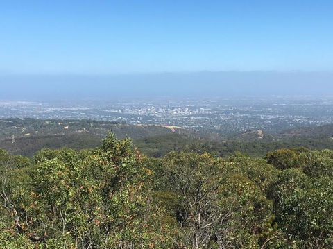 Adelaide Hills And Hahndorf Tour From Adelaide With Wine And Cheese Tasting - Perths Hotel 8