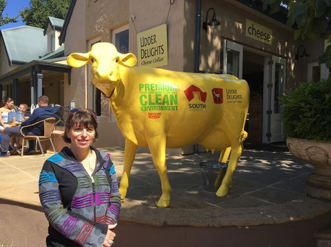 Adelaide Hills And Hahndorf Tour From Adelaide With Wine And Cheese Tasting - Perths Hotel 2