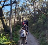Mount Lofty Hike and Cleland Wildlife Park Day Trip from Adelaide - Perths Hotel