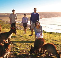 5-Day Adelaide and Kangaroo Island Tour Including Barossa Valley Wine Tasting - Perths Hotel