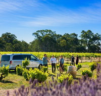 Micro-Group Barossa Valley Wine Tour from Adelaide - Perths Hotel