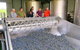 Micro-Group Barossa Valley Wine Tour From Adelaide - thumb 4