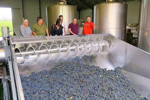 Micro-Group Barossa Valley Wine Tour From Adelaide - Perths Hotel 4