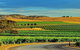 Barossa Private Group 1-13 Tour To Barossa Valley Or McLaren Vale From Adelaide - thumb 37