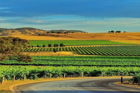 Barossa Private Group 1-13 Tour To Barossa Valley Or McLaren Vale From Adelaide - Perths Hotel 37