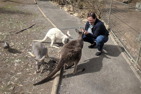 A Taste Of Adelaide And Hahndorf By Car Private Tour. - Perths Hotel 8