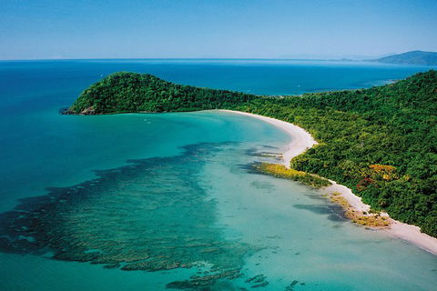 Daintree Rainforest, Cape Tribulation, Mossman Gorge In A Day - Perths Hotel 6