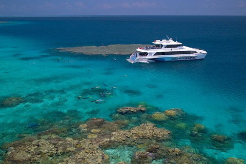 Silversonic Outer Great Barrier Reef Dive And Snorkel Cruise From Port Douglas - Perths Hotel 2
