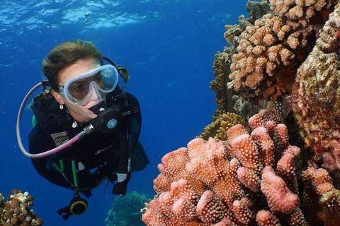 Silversonic Outer Great Barrier Reef Dive And Snorkel Cruise From Port Douglas - Perths Hotel 5