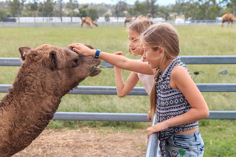 Camel Farm Deluxe Experience - Perths Hotel 0