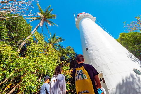Half Day Low Isles Snorkelling Tour From Port Douglas - Perths Hotel 7
