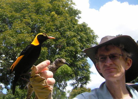 O'Reilly's Lamington National Park And Treetop Canopy Tour - Perths Hotel 4