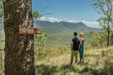 Queensland Food Tour: The Ultimate Delectable Full Day Experience - Perths Hotel 1