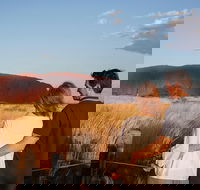 Uluru Ayers Rock Sunset with Outback Barbecue Dinner and Star Tour - Perths Hotel