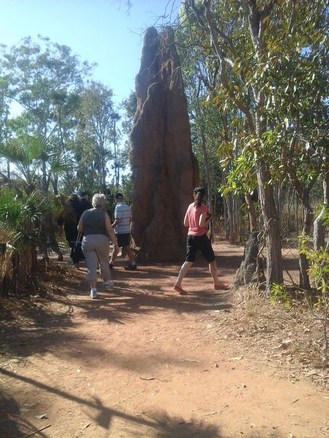 Litchfield National Park Day Tour From Darwin - Perths Hotel 14