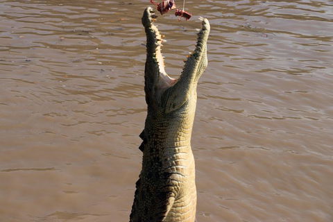 Litchfield Dreams 1 Day National Park Waterfall Swimming & Jumping Croc Cruise - Perths Hotel 1