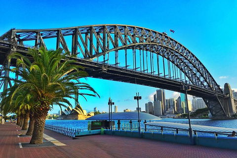 Half Day In Sydney With A Local: Private & Personalized - Perths Hotel 10