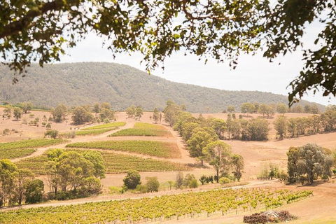 Hunter Valley Wine And Wildlife Reserve Tour From Sydney - Perths Hotel 6