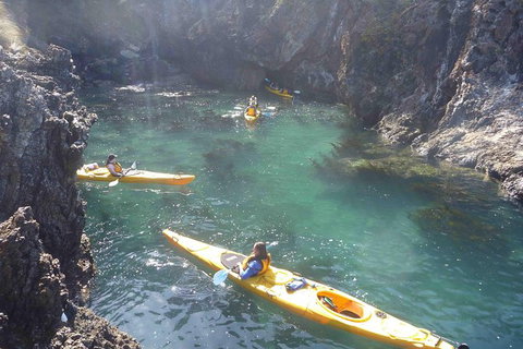 Batemans Bay Full Day Sea Kayak Tour With Beach Picnic Lunch - Perths Hotel 1