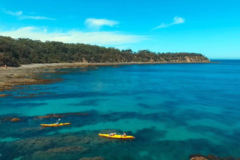 Batemans Bay Full Day Sea Kayak Tour With Beach Picnic Lunch - Perths Hotel 7