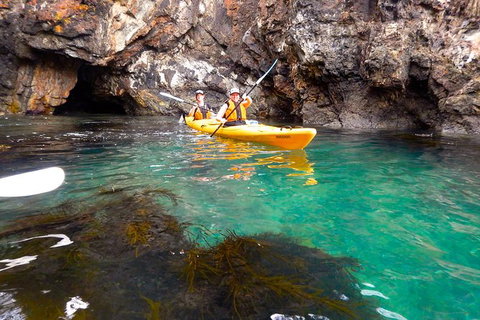 Batemans Bay Full Day Sea Kayak Tour With Beach Picnic Lunch - Perths Hotel 2