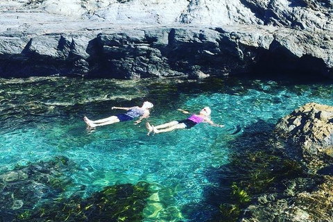 Batemans Bay Full Day Sea Kayak Tour With Beach Picnic Lunch - Perths Hotel 6