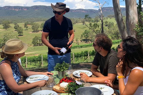 Luxury Blue Mountains Tour With Aussie BBQ Lunch And Wine Tasting - Perths Hotel 0