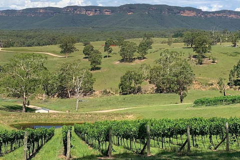 Luxury Blue Mountains Tour With Aussie BBQ Lunch And Wine Tasting - Perths Hotel 5