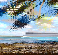 Arrawarra-Corindi Beach