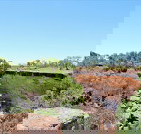 Bladensburg National Park - Perths Hotel