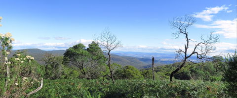 Blue Range Camping And Picnic Area - Perths Hotel 0