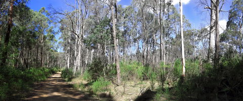 Blue Range Camping And Picnic Area - Perths Hotel 1