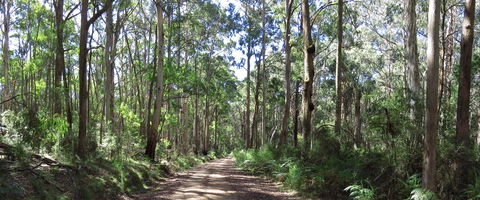 Blue Range Camping And Picnic Area - Perths Hotel 2