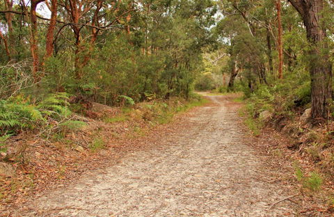 Daleys Point Walking Track - Perths Hotel 0