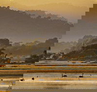 Greens Beach - Perths Hotel