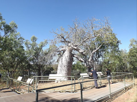 Gregory's Tree, Timber Creek - Perths Hotel 0