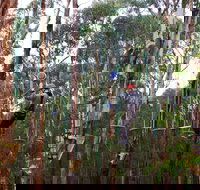 Kinglake Forest Adventures - Perths Hotel