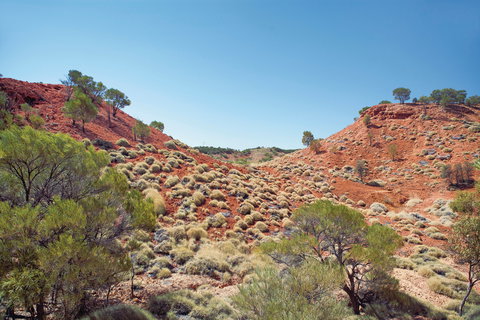 Lark Quarry Conservation Park - Perths Hotel 0