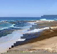 Little Shelley - Perths Hotel