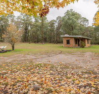 Major Clews Hut Walking Track
