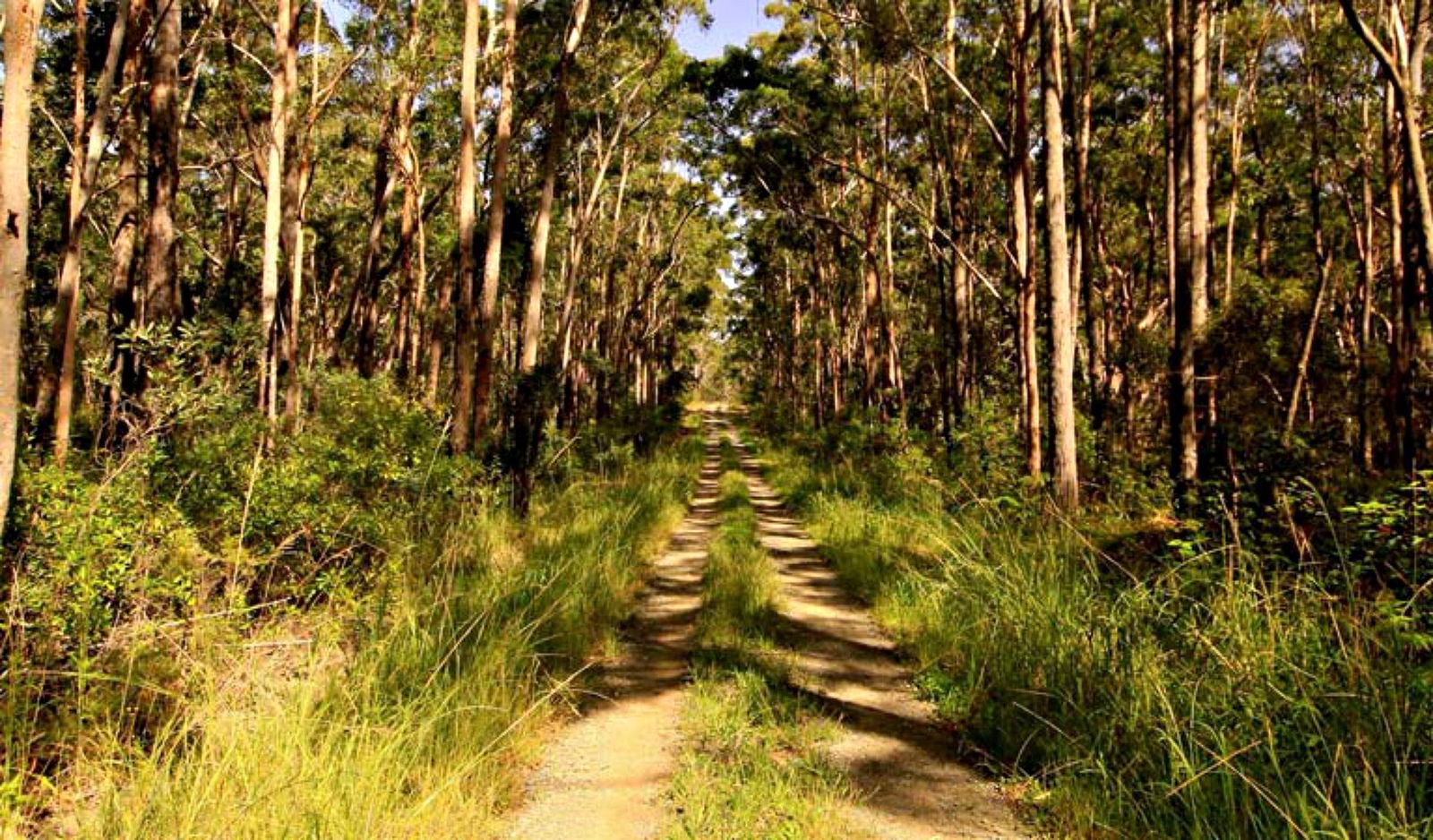 Yagon NSW Perths Hotel