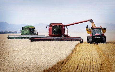 Mullaley - Perths Hotel 0