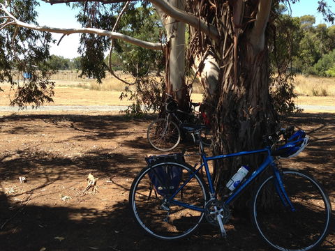 Murchison Rail Trail - Perths Hotel 0