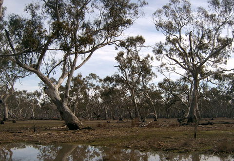 Murchison Rail Trail - Perths Hotel 1