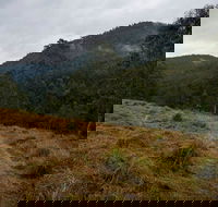 Nowendoc National Park - Perths Hotel
