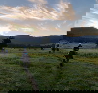 Numinbah Valley Adventure  Camping - Perths Hotel