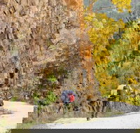 Old Great North Road - World Heritage Walk - Perths Hotel