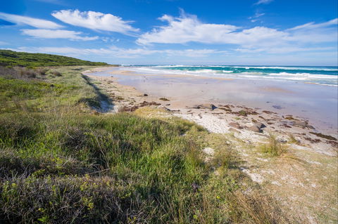 Racecourse Beach: Bawley Point - Perths Hotel 0